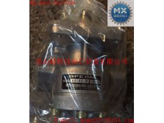 GPEON:A8-A100RGPEON齒輪泵